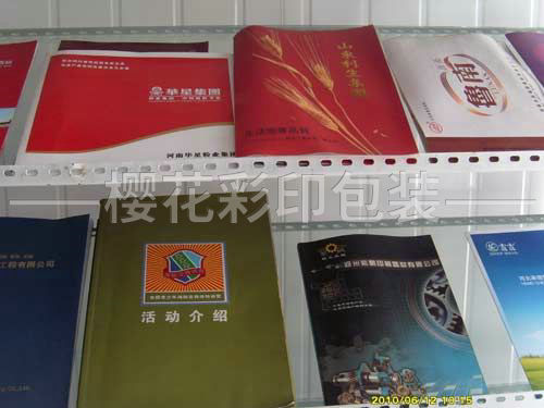 宣傳冊(cè) (3).jpg