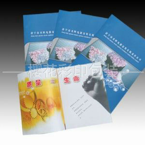 畫冊(cè)樣本